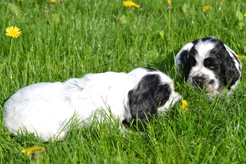 Vrh H a CH 14- Chris, Carlie.JPG